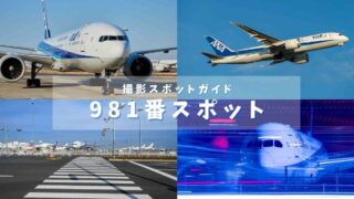 【飛行機が信号待ち??】話題の981番スポットはどんな場所?