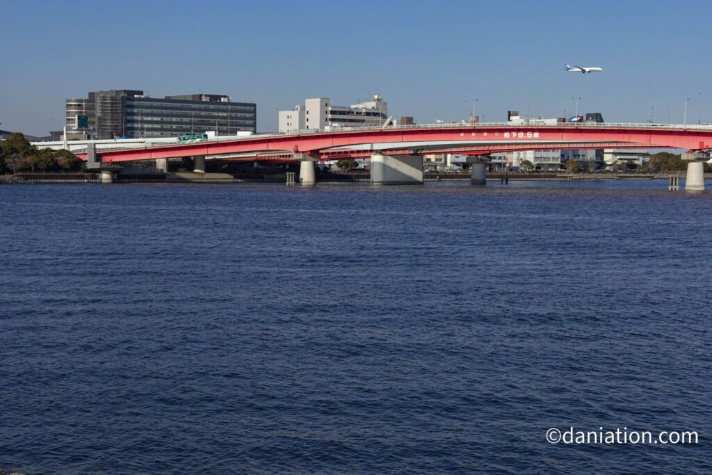 C滑走路に着陸するANAのB787を京和橋から撮影
