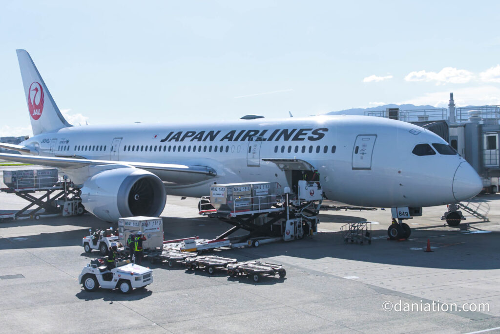 搭乗する飛行機の写真(JAL B787)