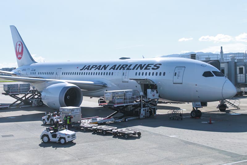 【スカイメイトで旅ですかい#2】JAL B787はじめての新ルート搭乗記
