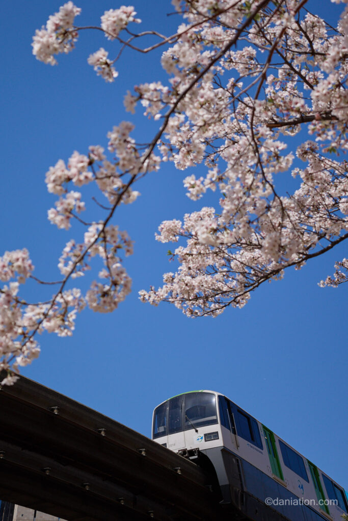 RF 24-50mmで撮影した写真の作例