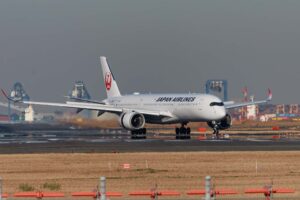 ソラムナード羽田緑地で撮れる写真2