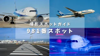 【飛行機が信号待ち？？】話題の981番スポットはどんな場所？