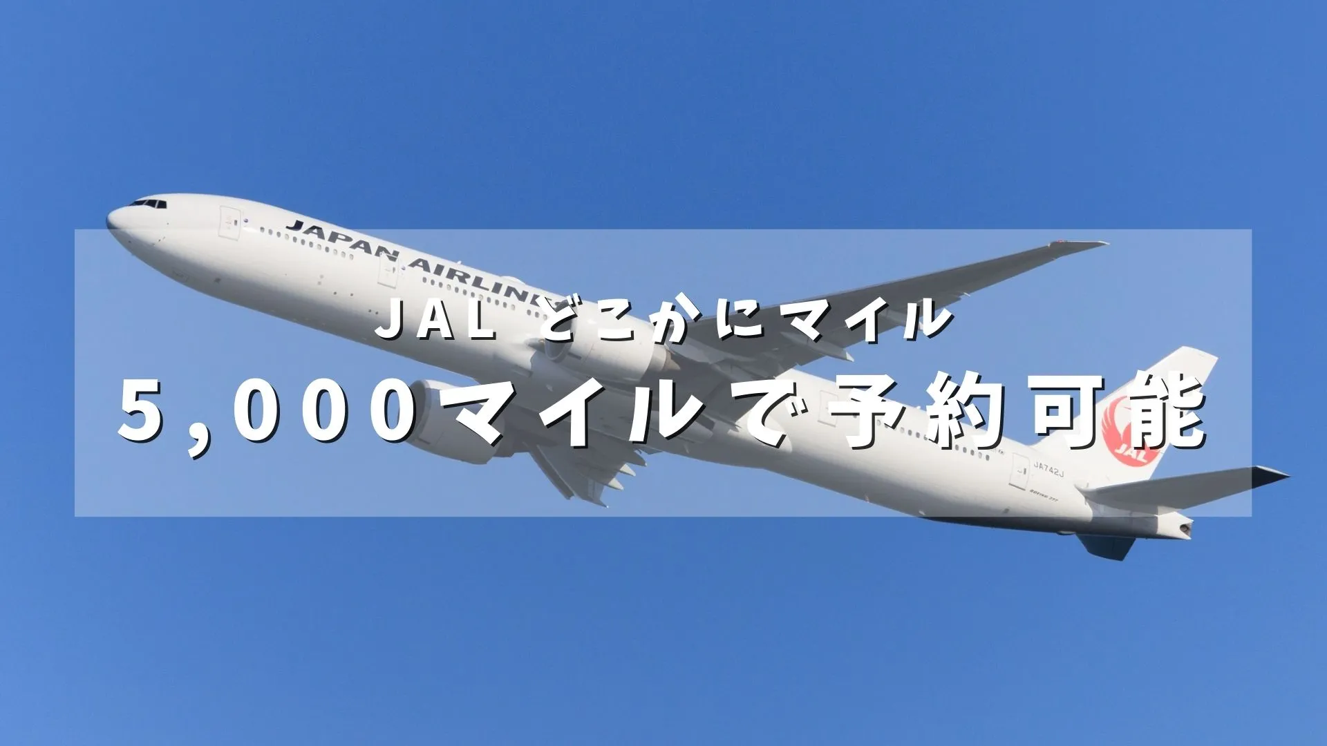 JAL「どこかにマイル」5,000マイルで利用可能に！18～29歳限定