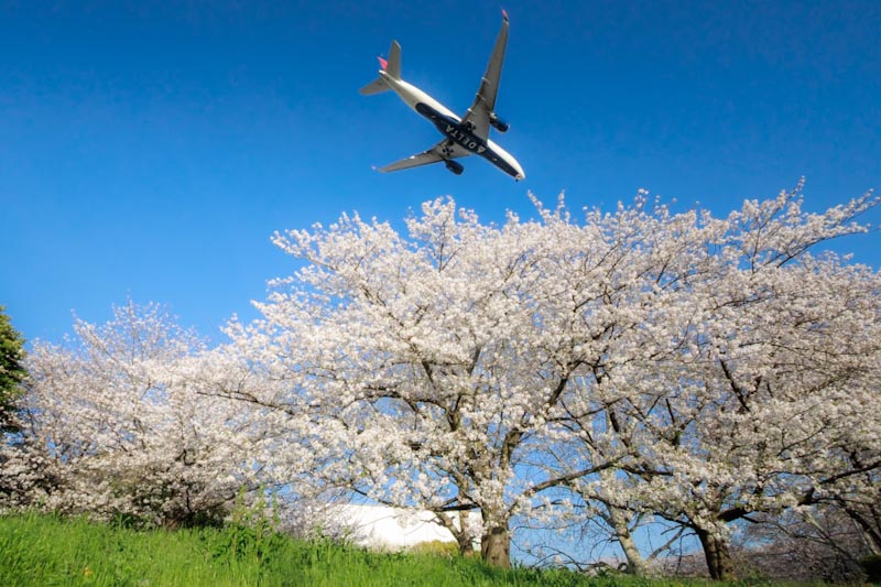 【羽田空港】京浜島ふ頭公園を徹底解説 | 飛行機撮影ガイド